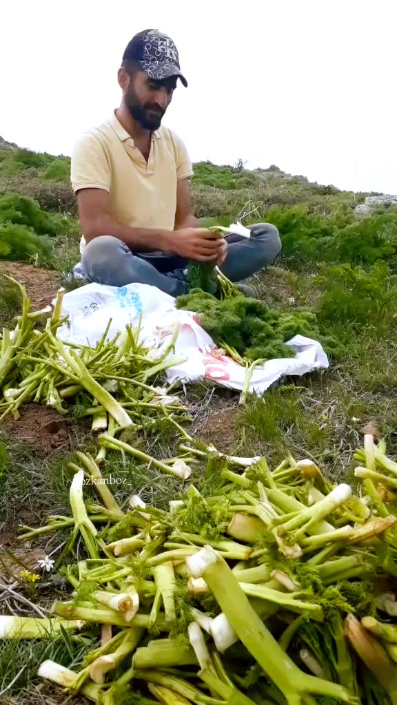 @&Ouml;zkan Boz☑️