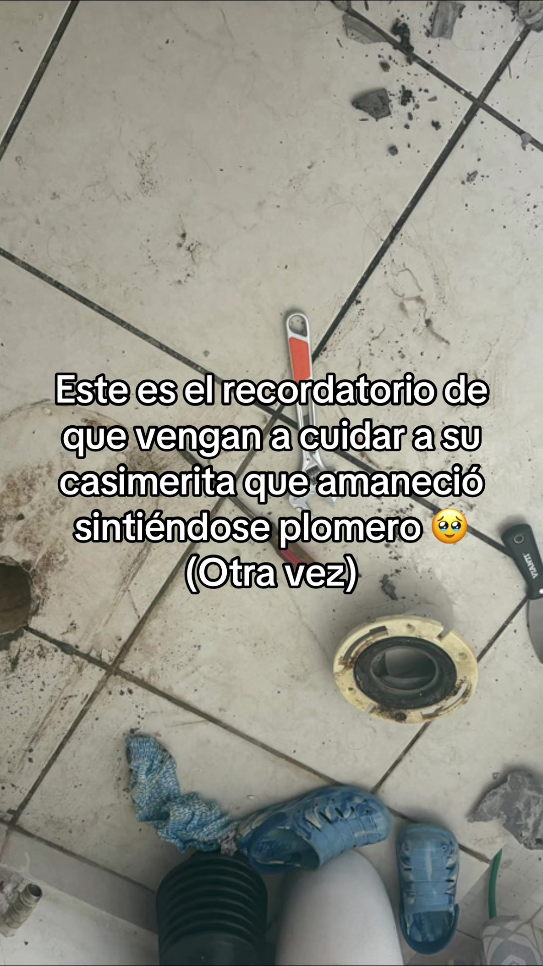 @Luz 🩵