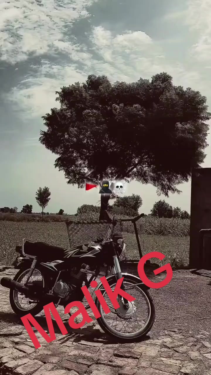 @murtaza0011