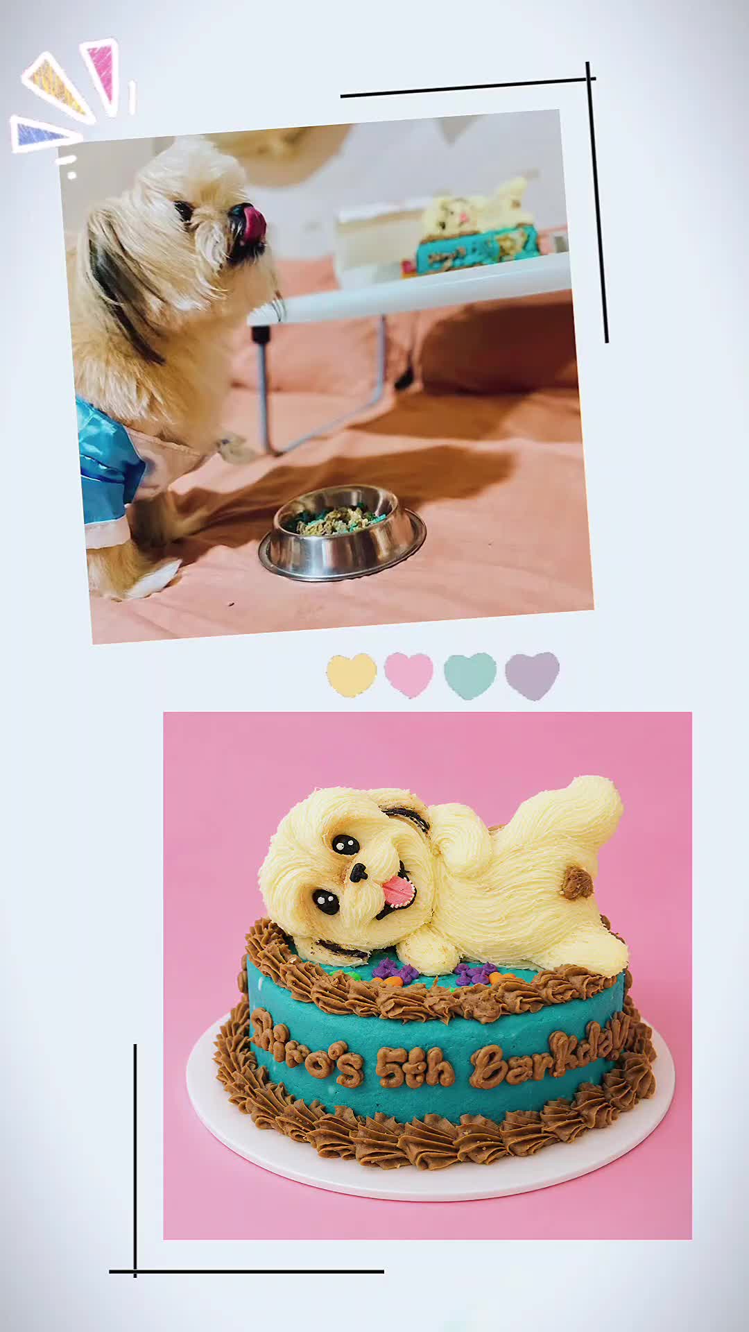 @makeandbakeforpets