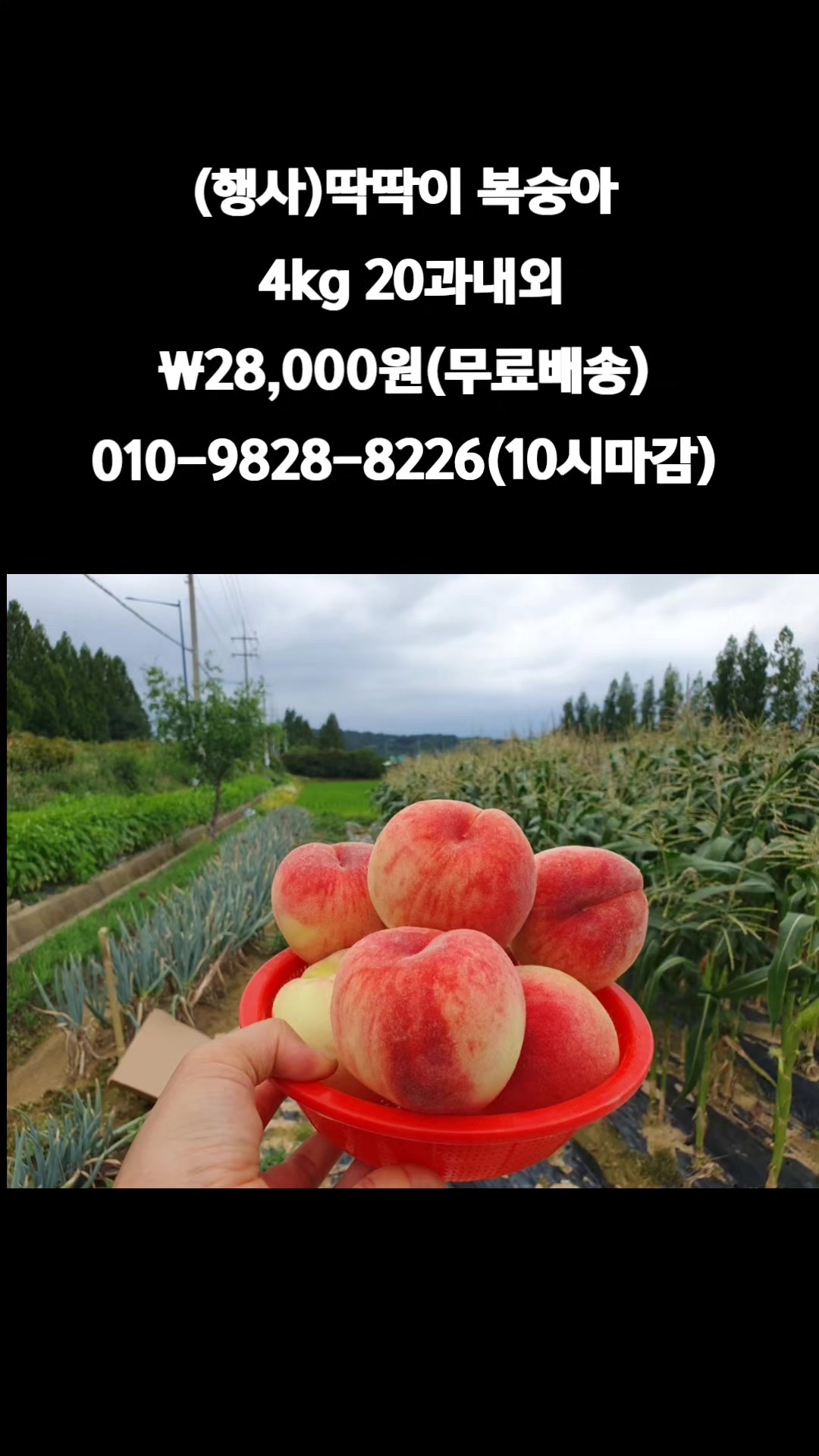 @똑손