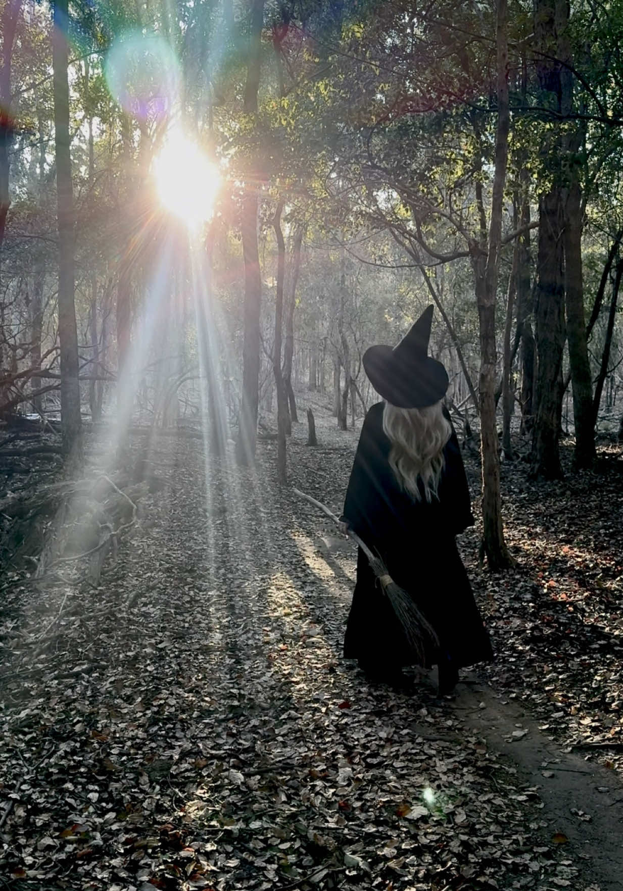 @Stella🔮 Witch of the Moon 🌙