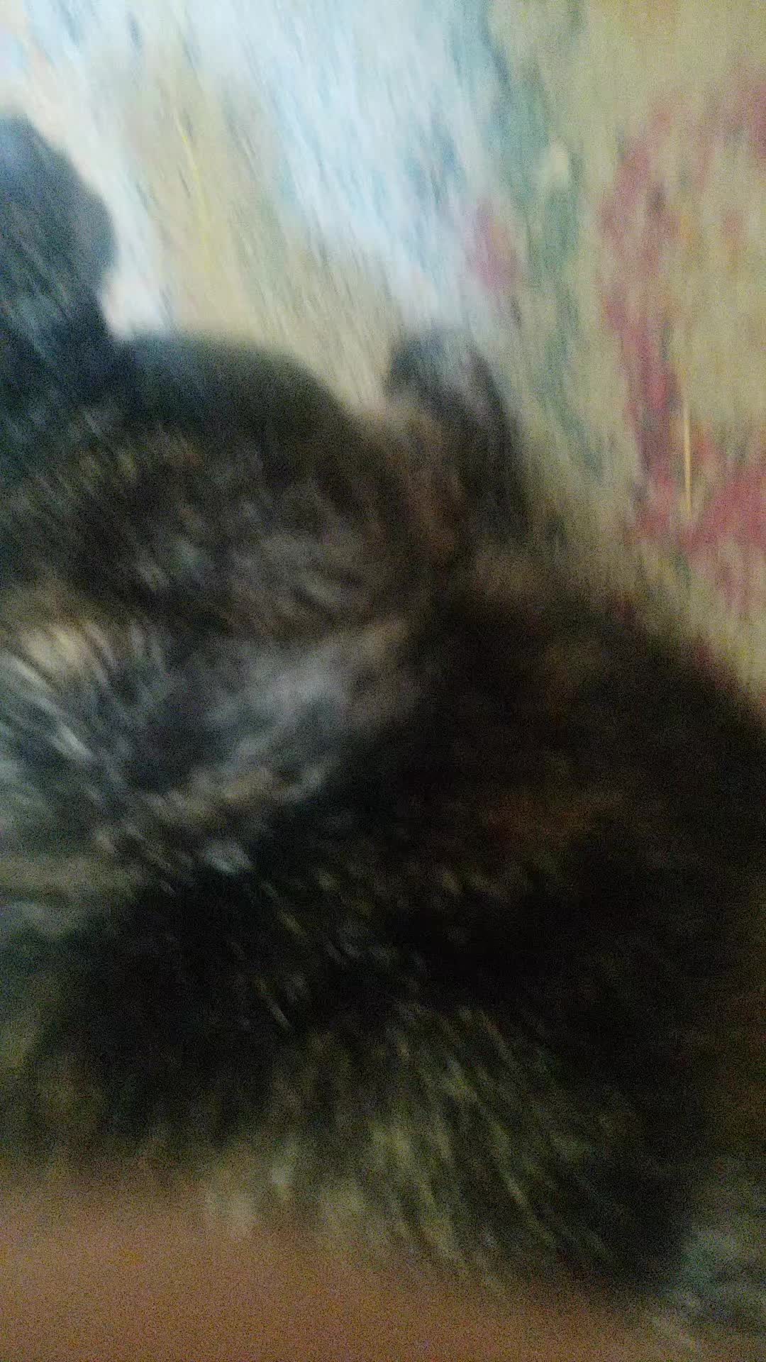 @burntrap