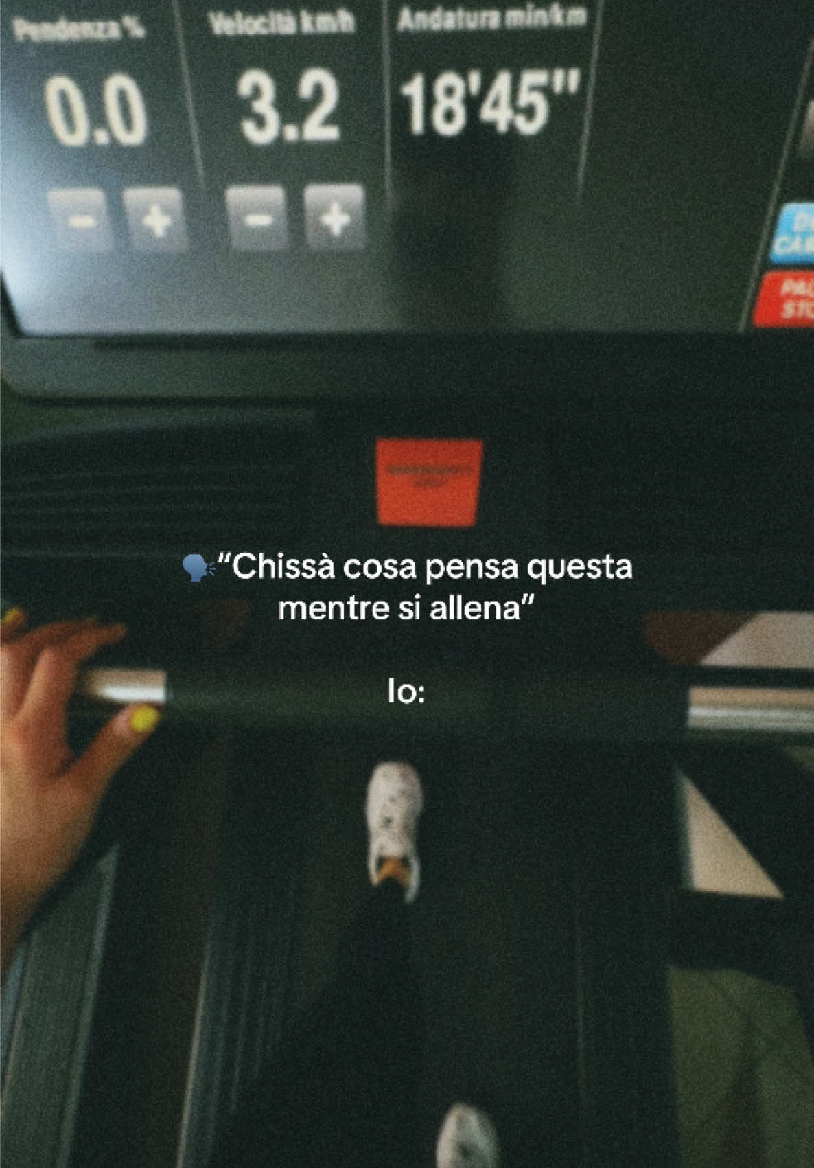 @Roxana Miron