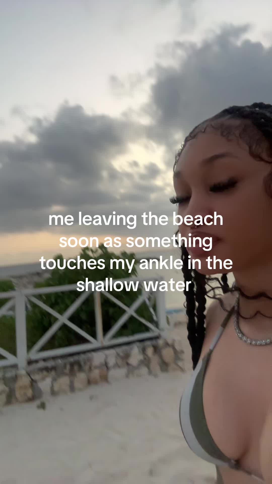 @aniamonaem