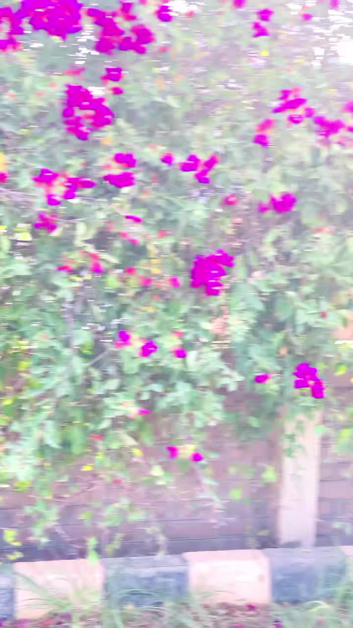 @︻╦デ╤━╼یا مخلص تھی یا یار نہ سڈ