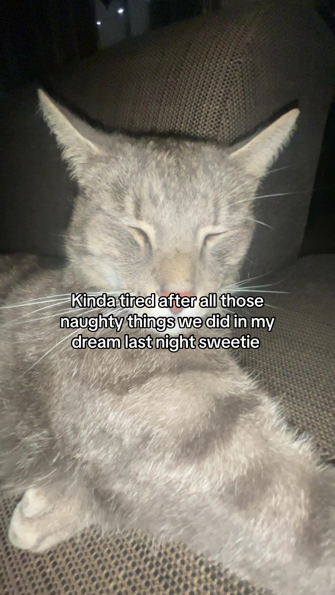 @Micky