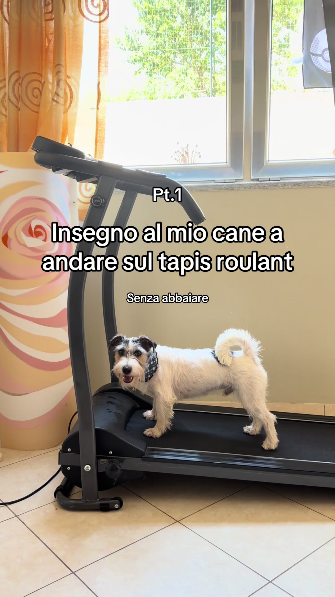 @momusso