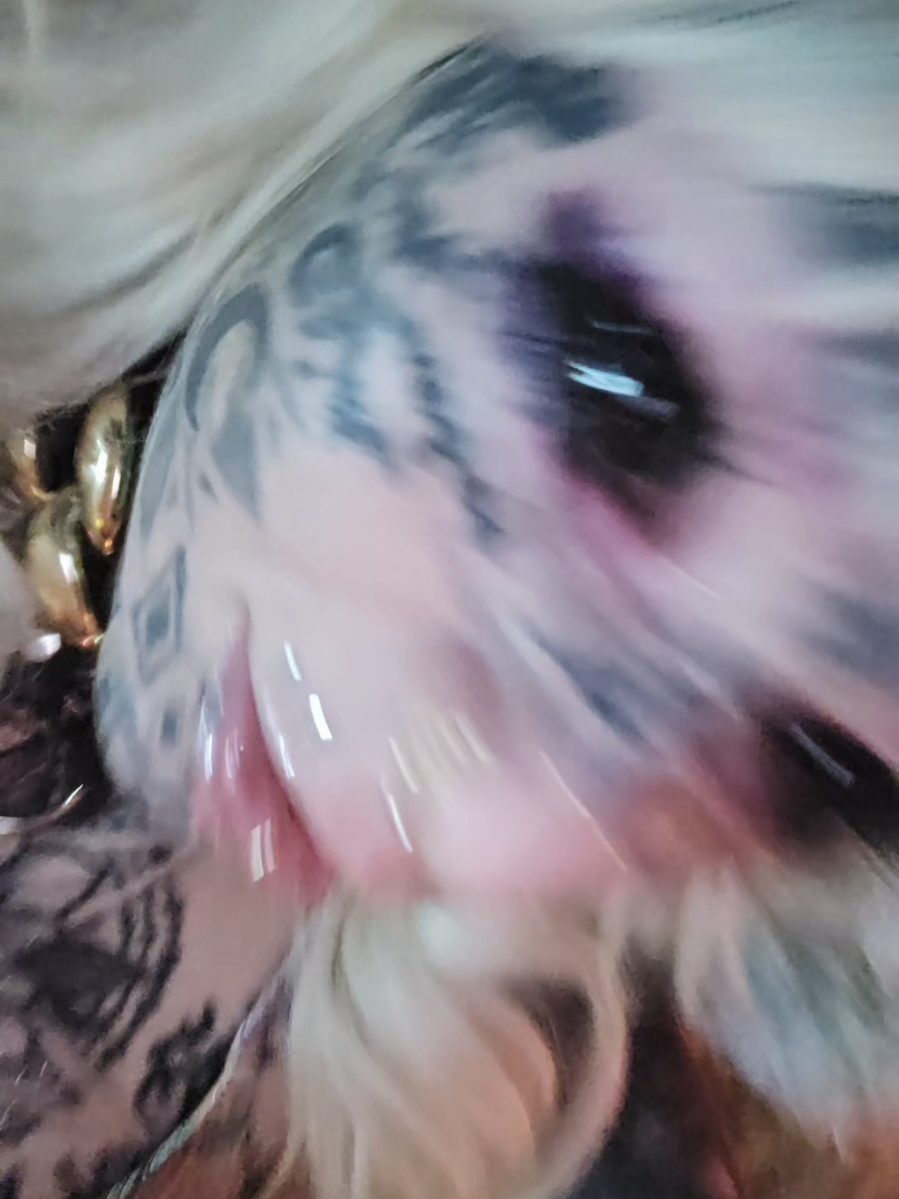 @𝔳𝔦𝔭𝔢𝔯𝔨𝔦𝔱𝔱𝔶𝔤𝔬𝔯𝔢