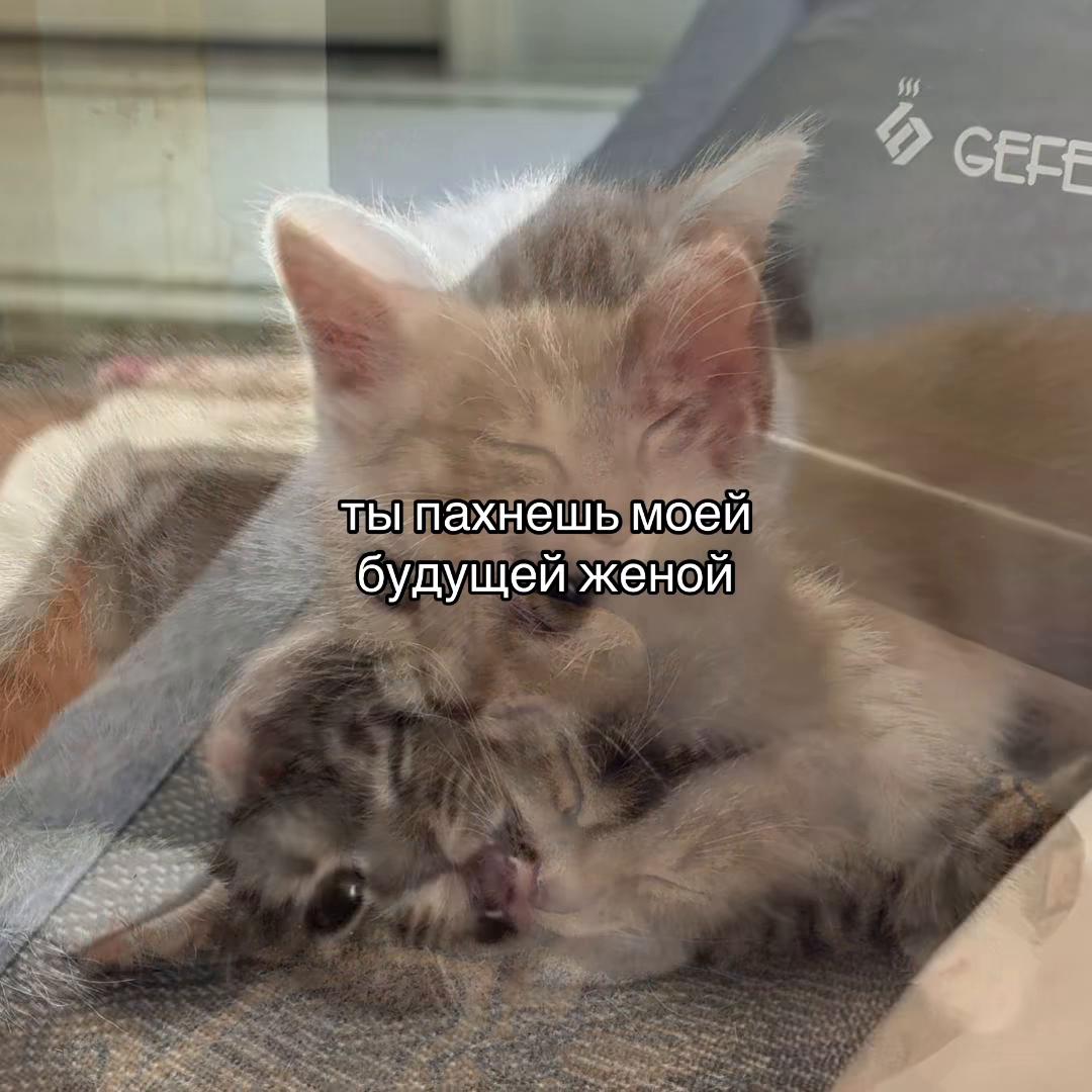 @ 