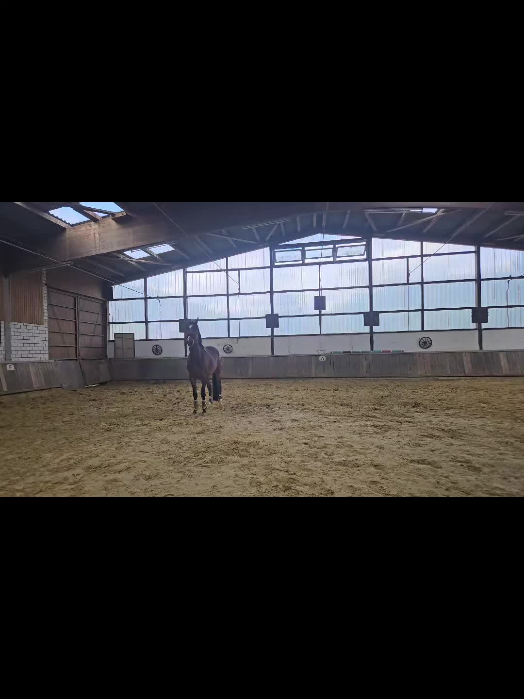 @Ellektra&De'Nero❤️