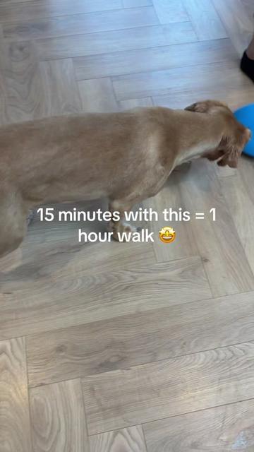 @Claws & Paws Parcels