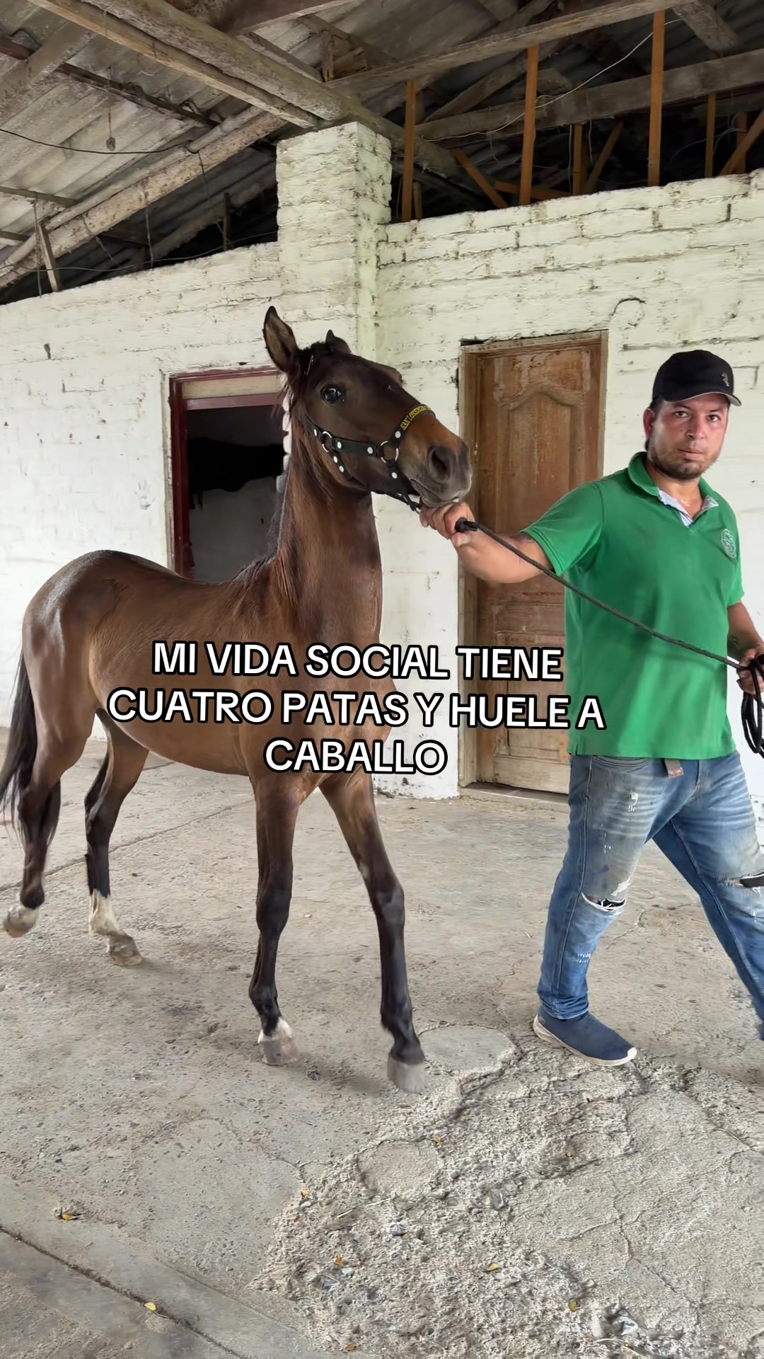 @Vianed Dayana
