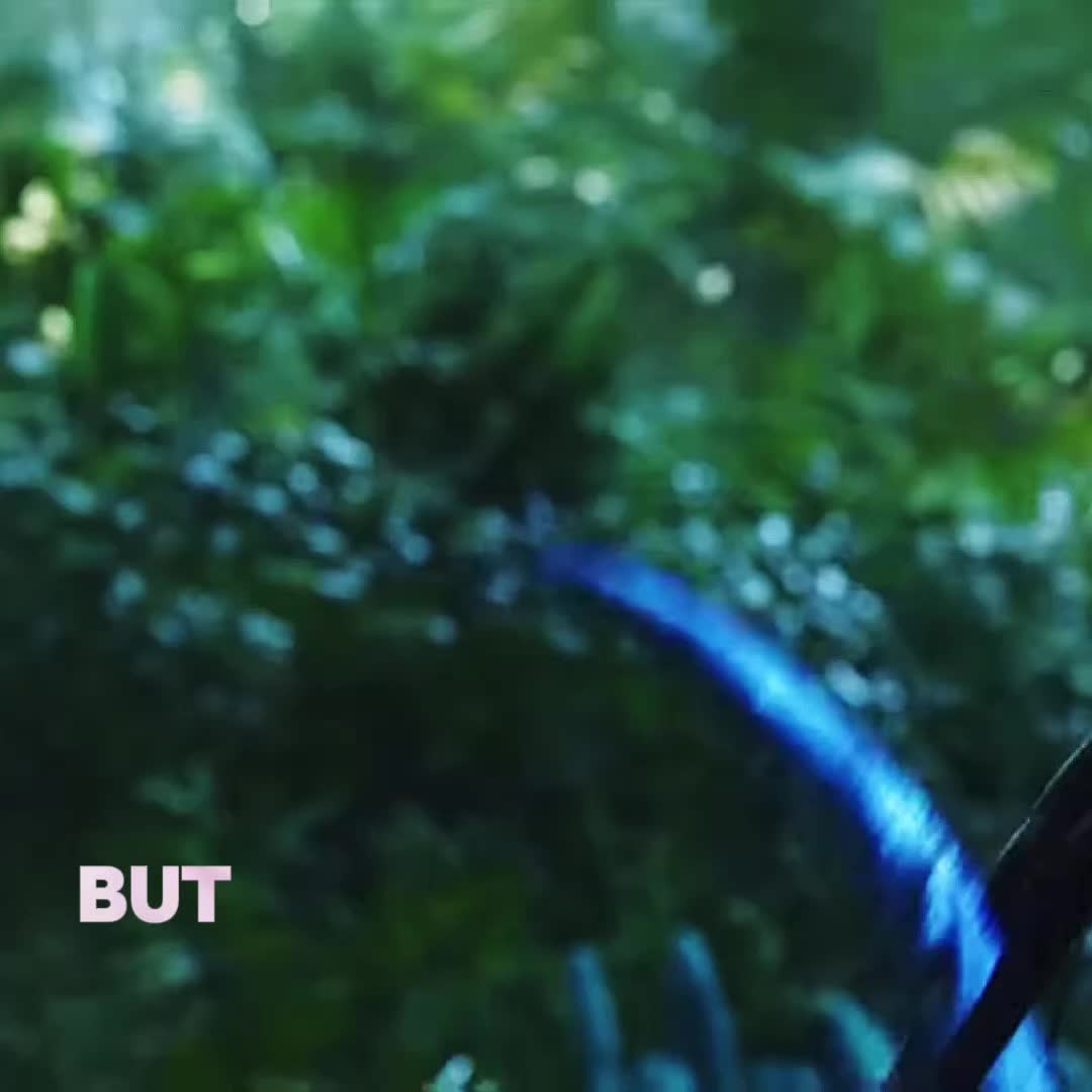 @ᴍɪɪʀìꜱìᴍ
