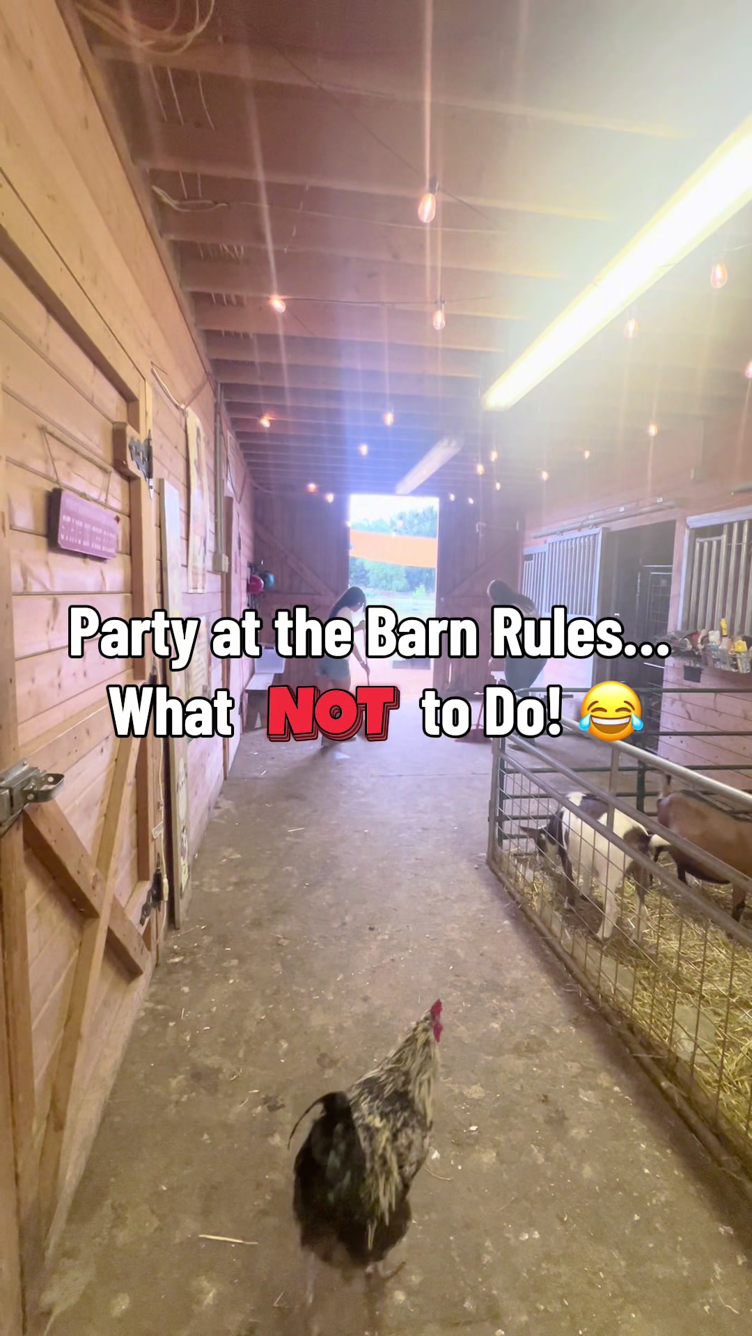 @Party at the barn 🐴