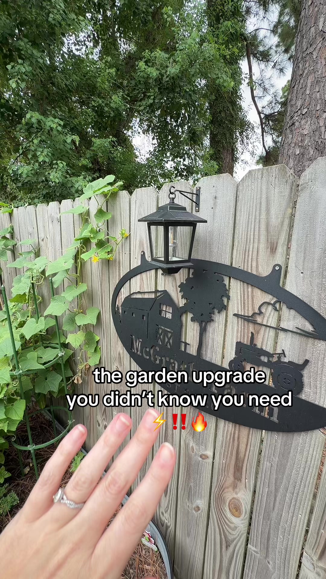 @taylor