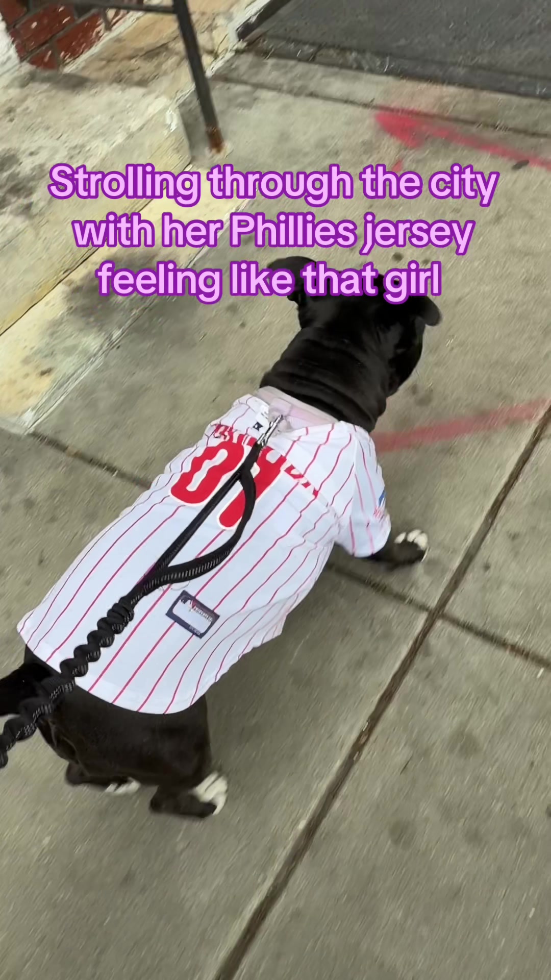 @Nyla.da.Staffy