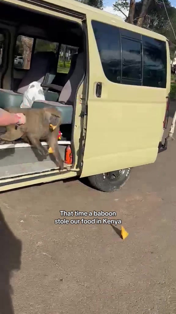 @luke.lohman