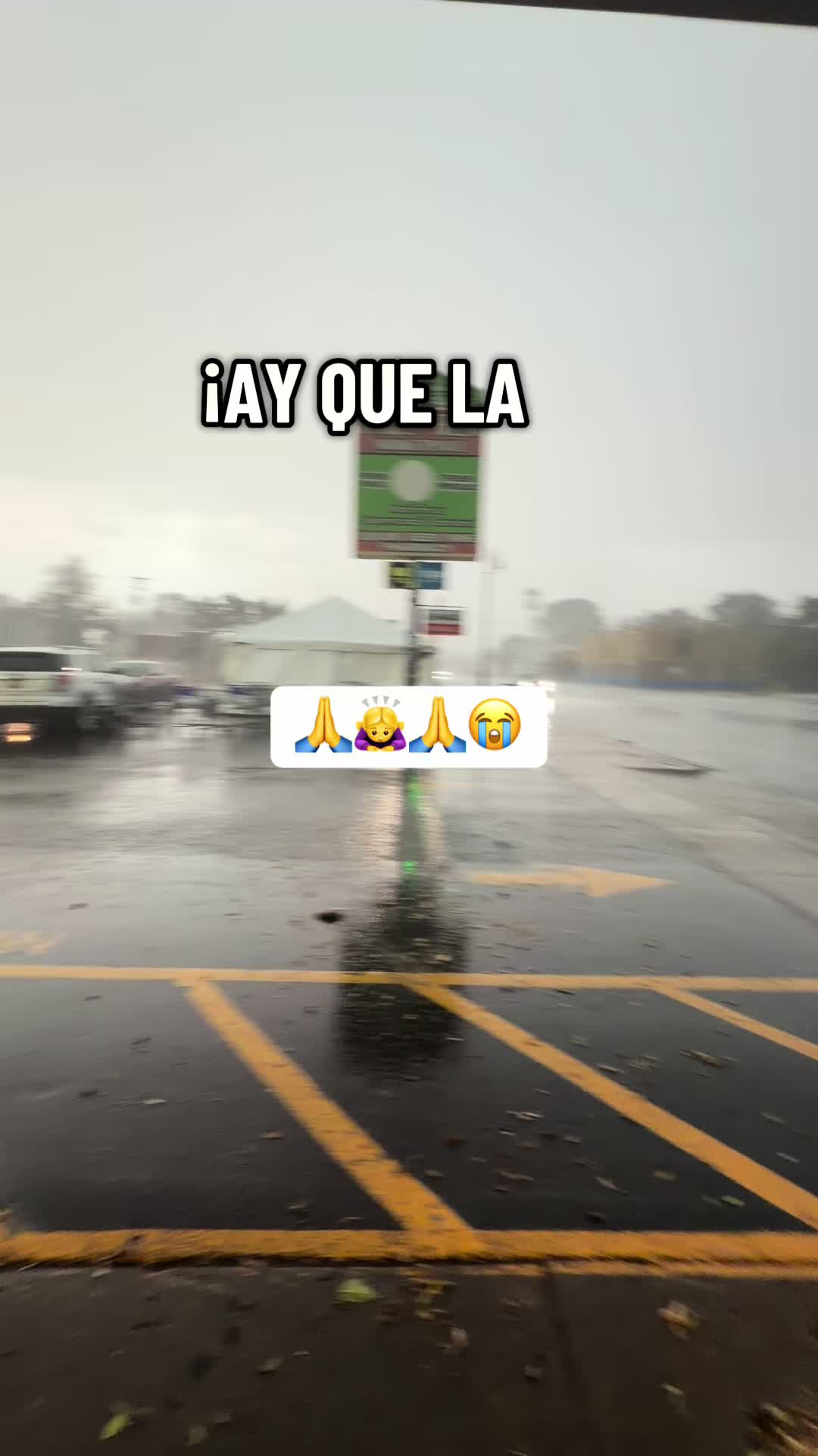 @🧚♀️flaquita🧚♀️