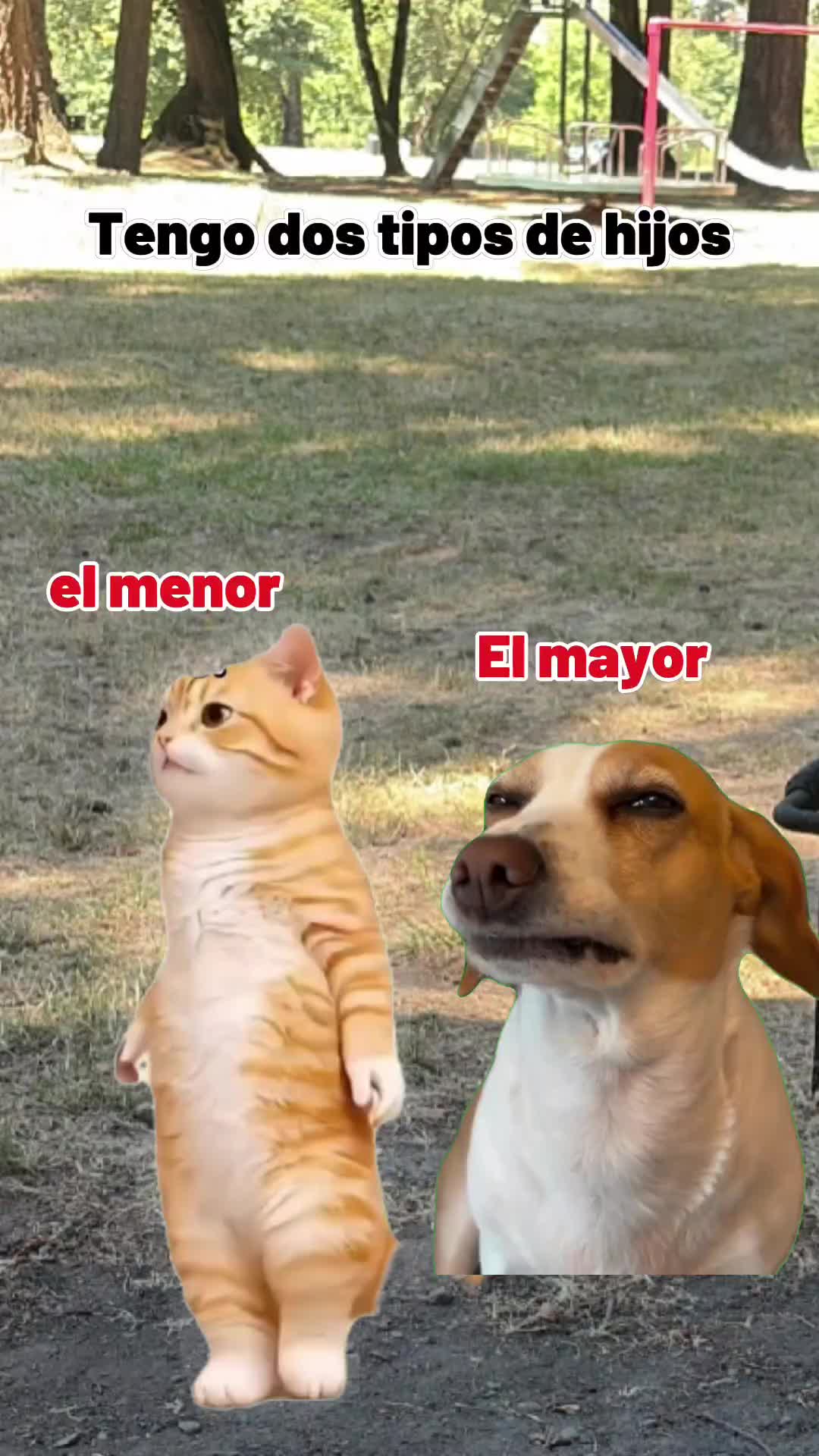 @Ana Gs