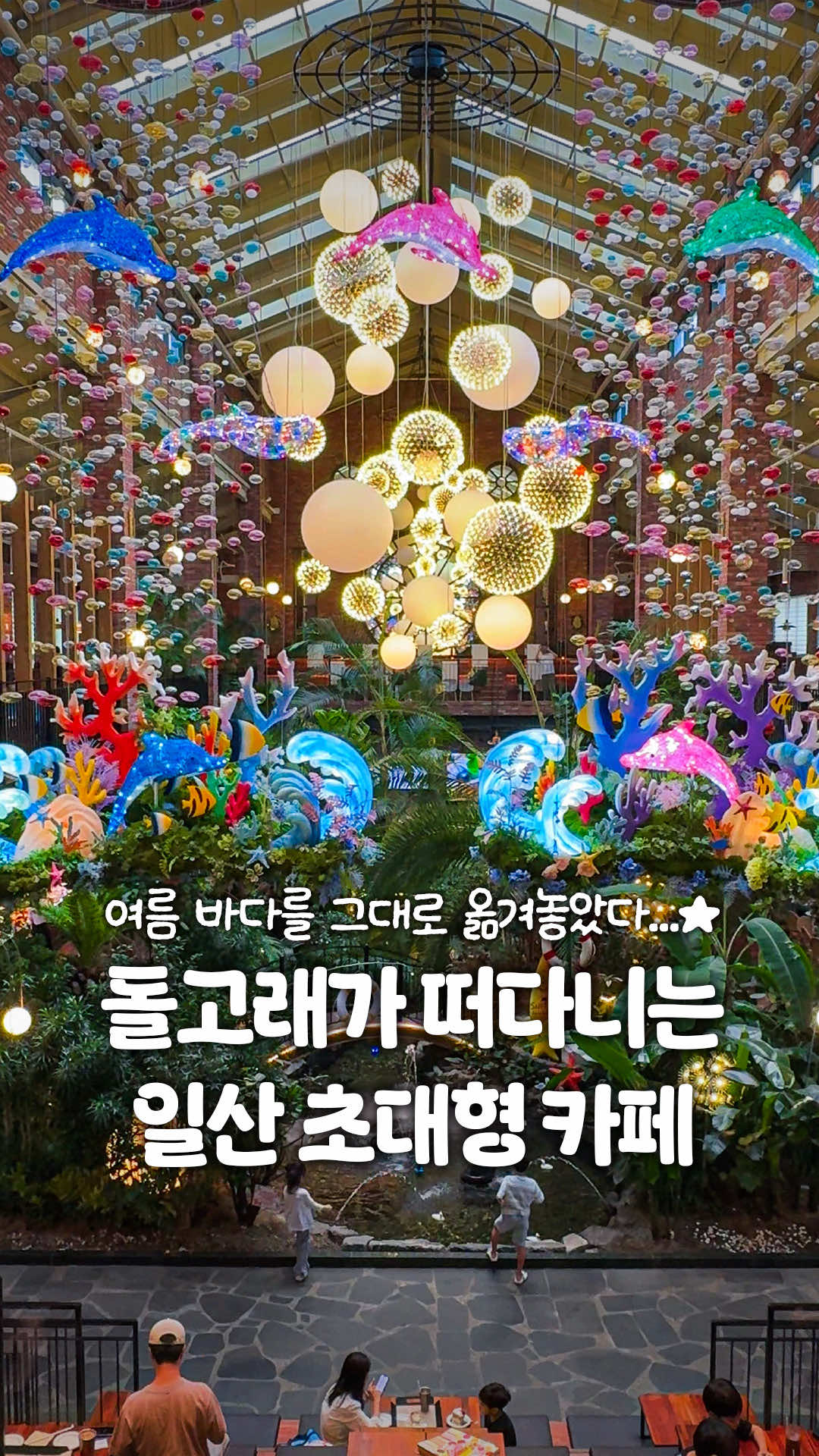 @일산갈고양