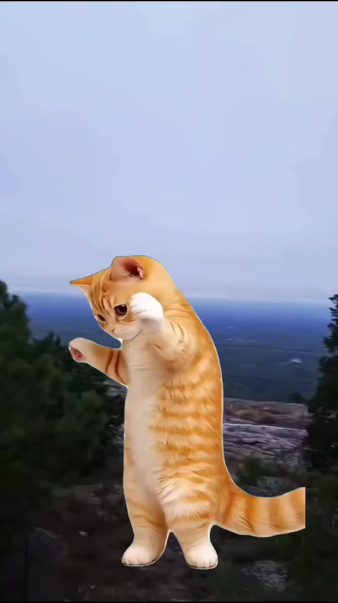 @🦅 𝐸𝒶𝑔𝓁𝑒𝒶𝓏𝓊𝓁 🌙