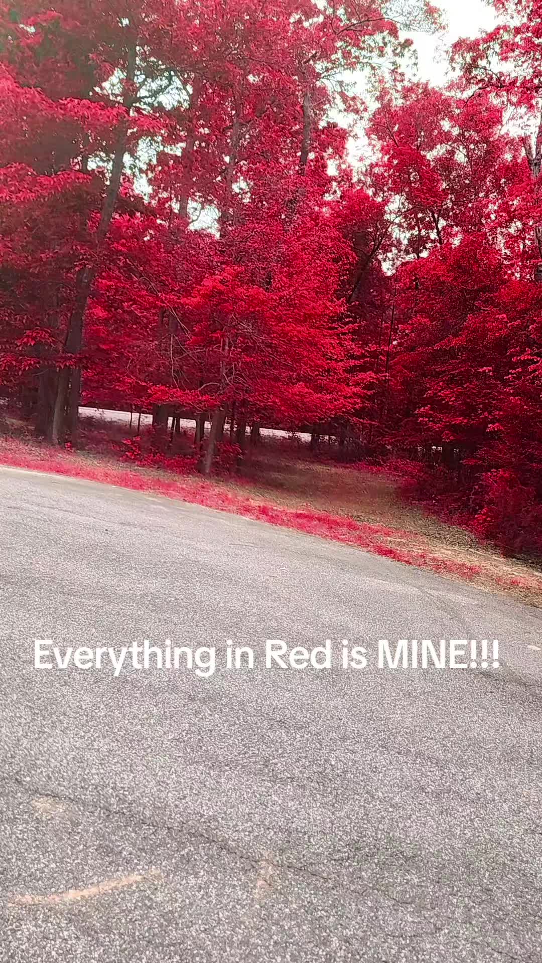 @Raydiance