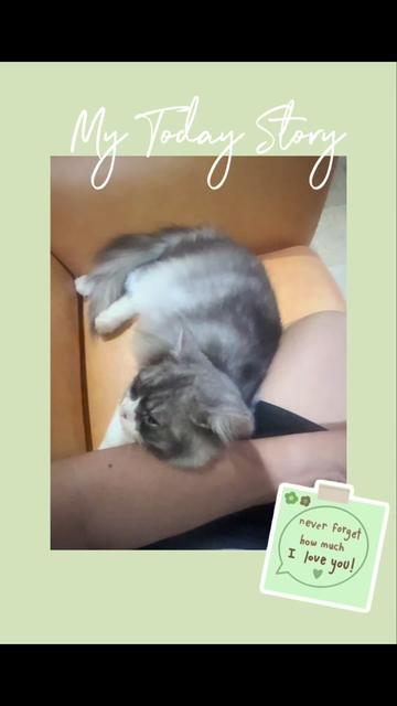 @🐱w!ne 🪺