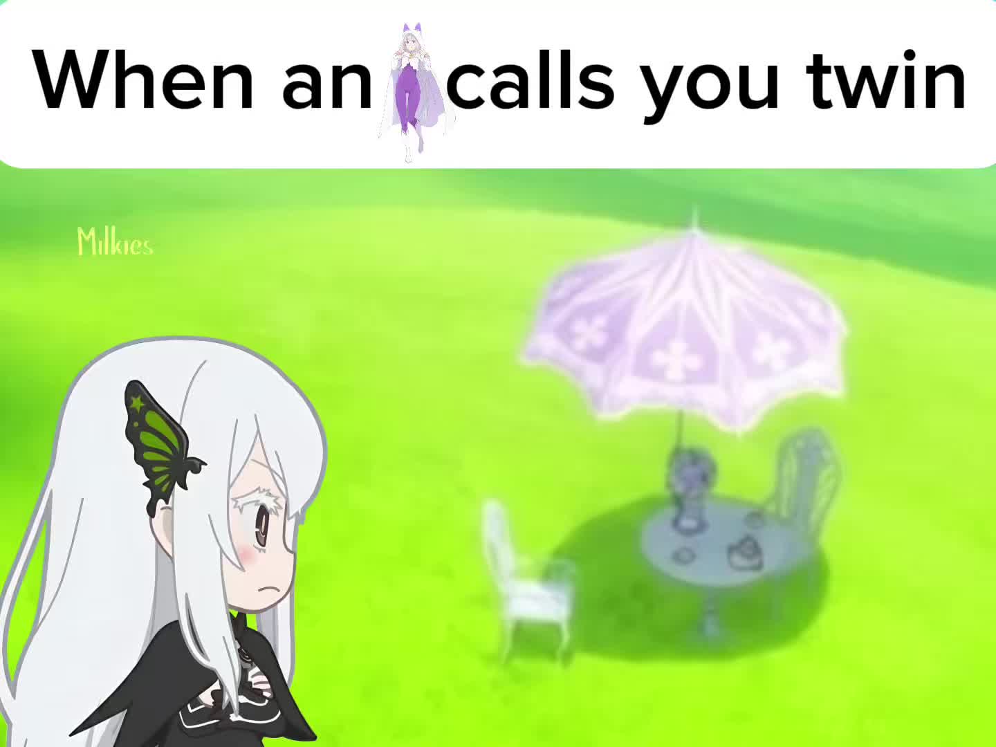 @Milkies/Echidna
