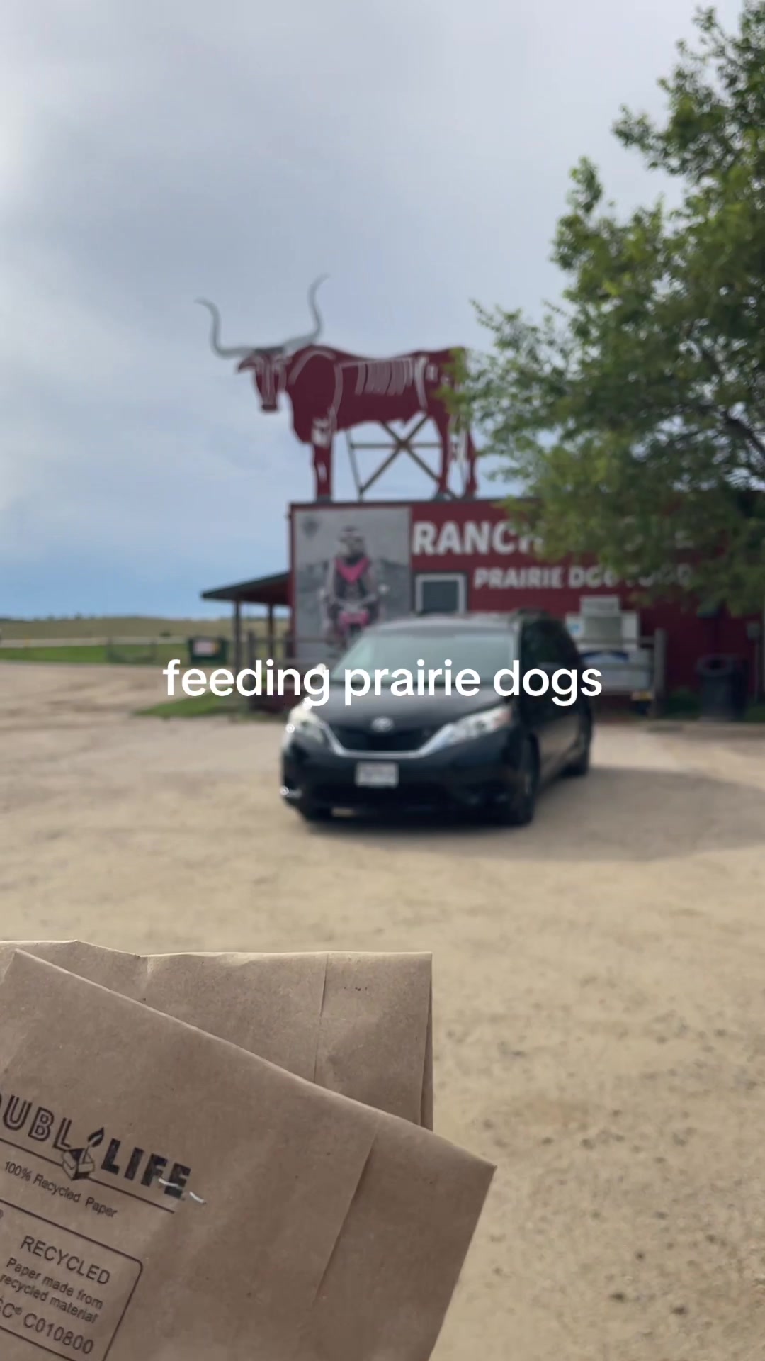 @midwest ash