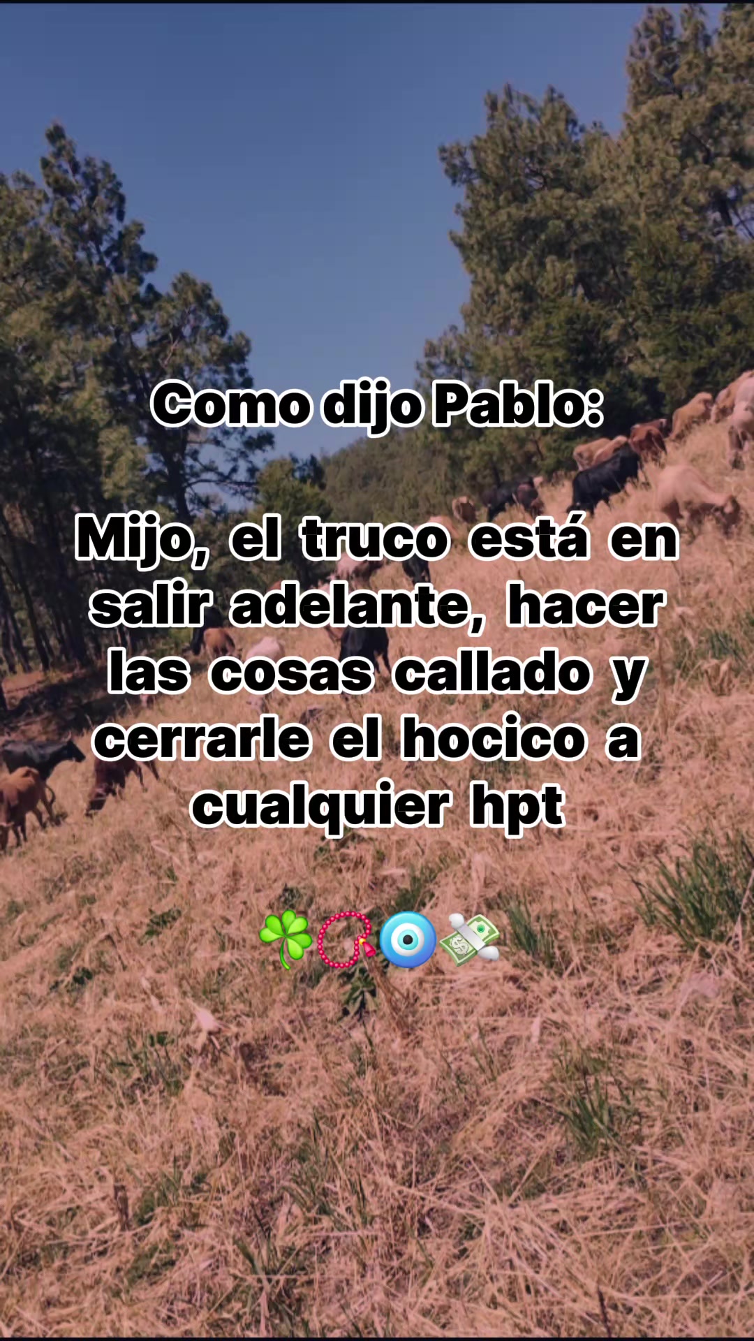 @El Rupe