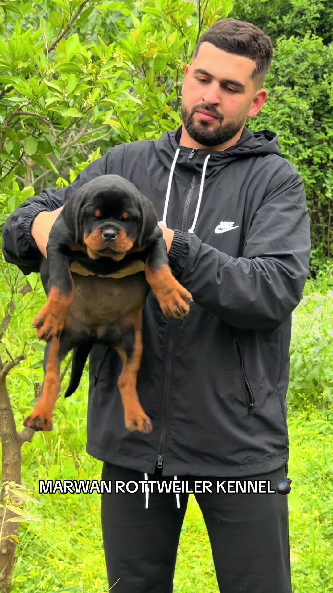 @Marwan Rottweiler-ke