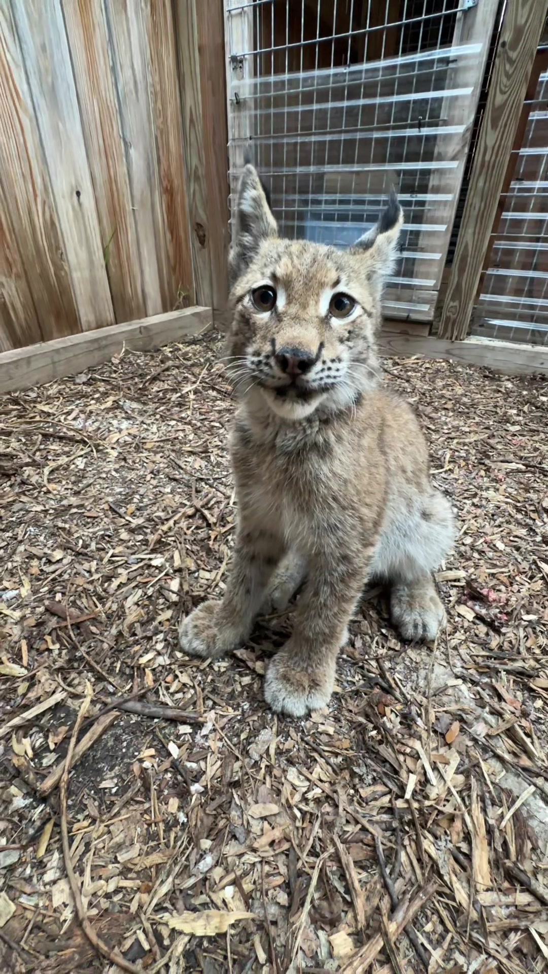 @Texas Wildlife Park