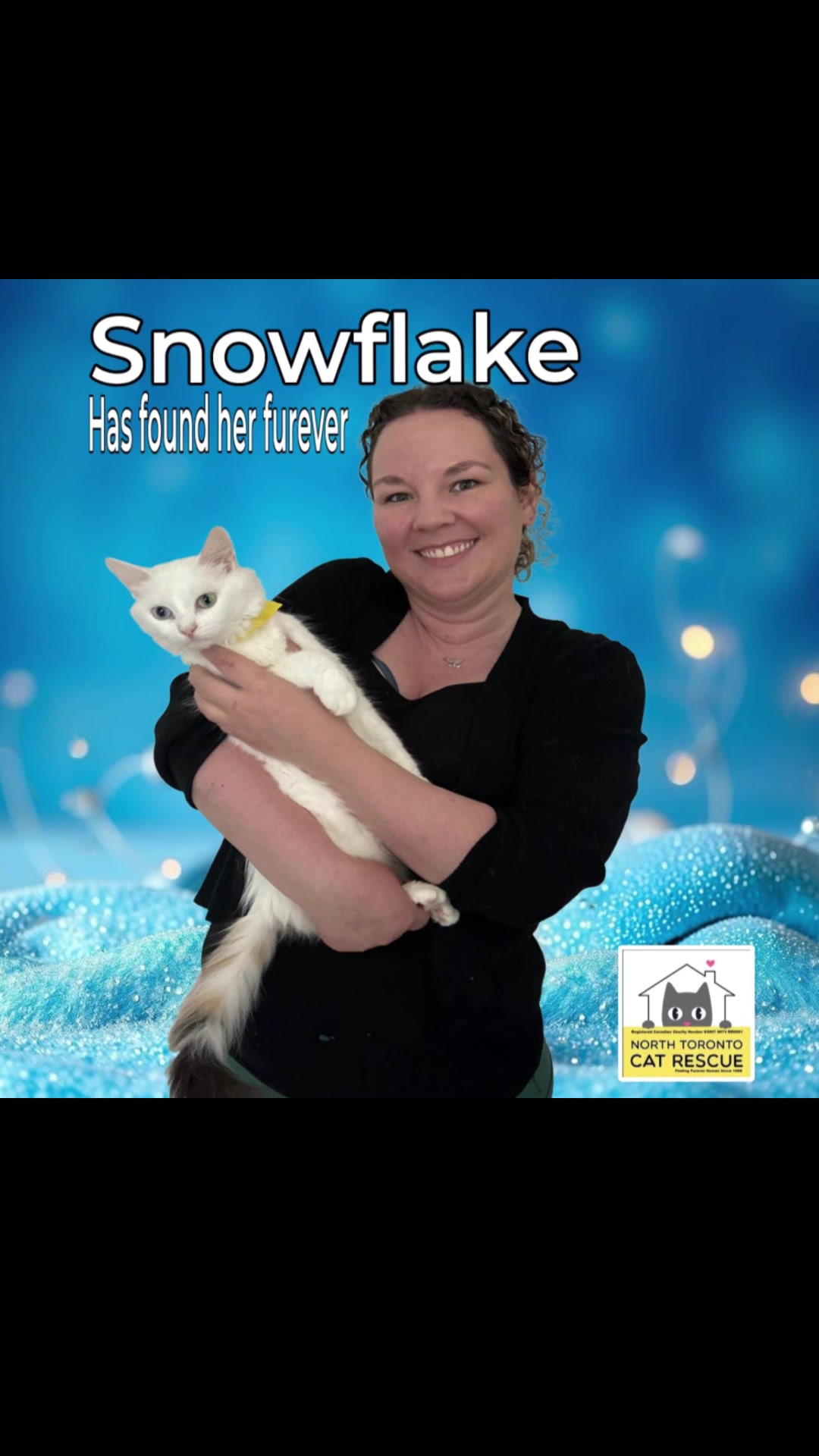 @North Toronto Cat Rescue