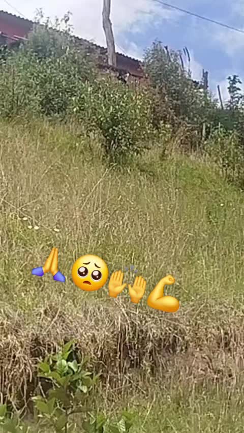 @🚛Luna🌛24🚛