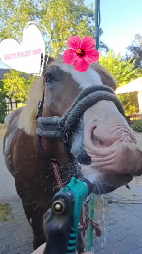 @🎀 Lena 🎀