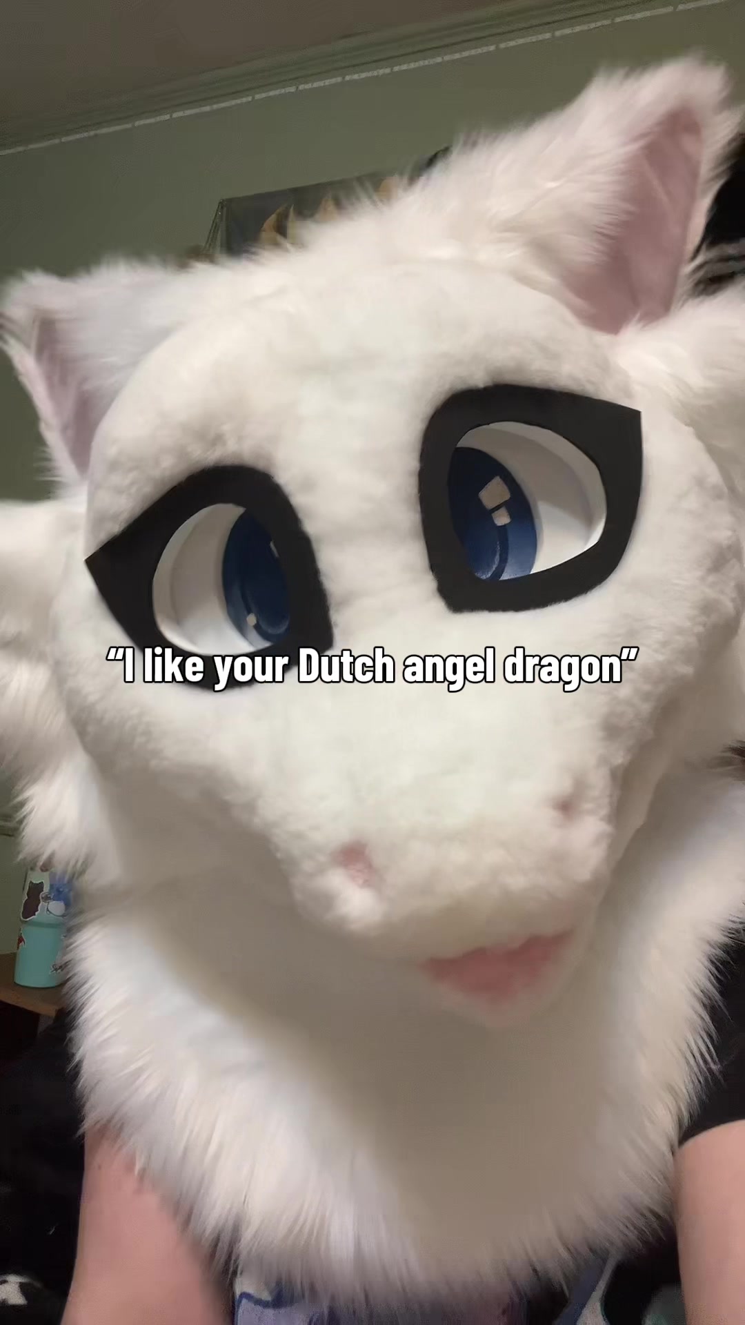 @landofdaddy