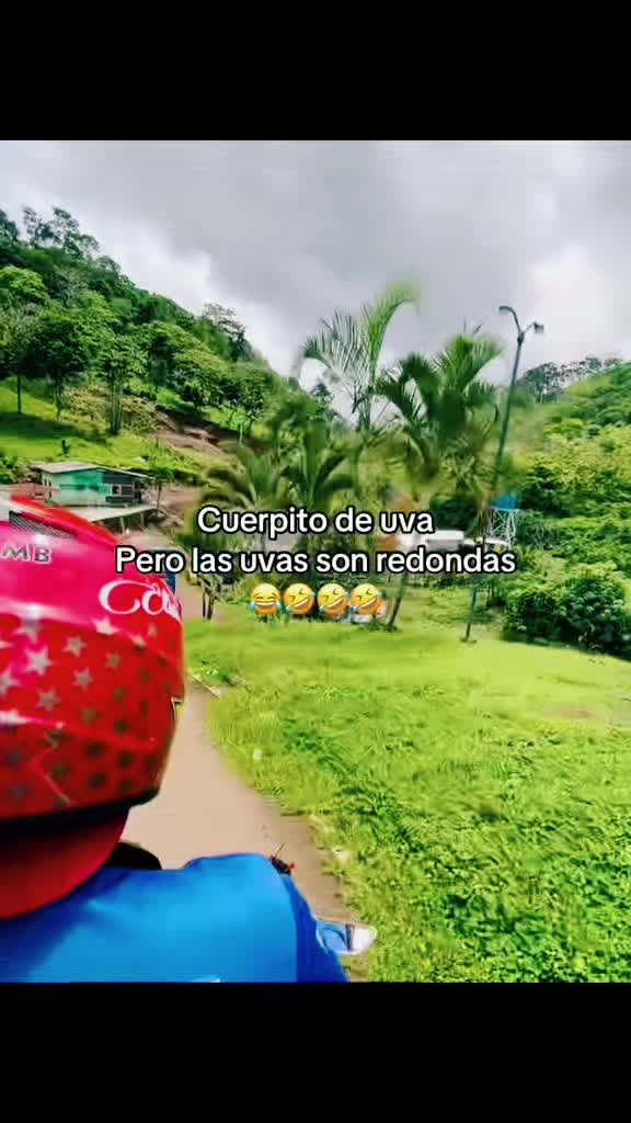 @amador ❤️🩹🌹🫀