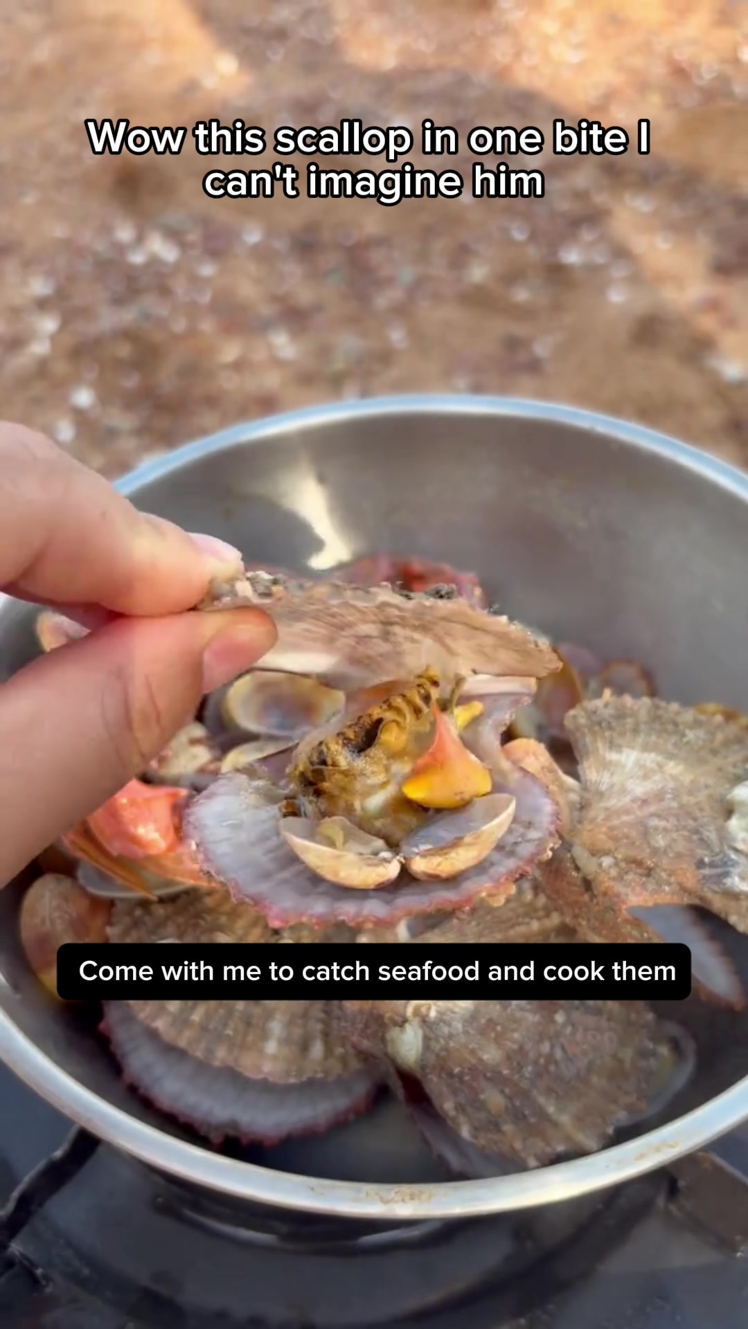 @Catch fish by hand