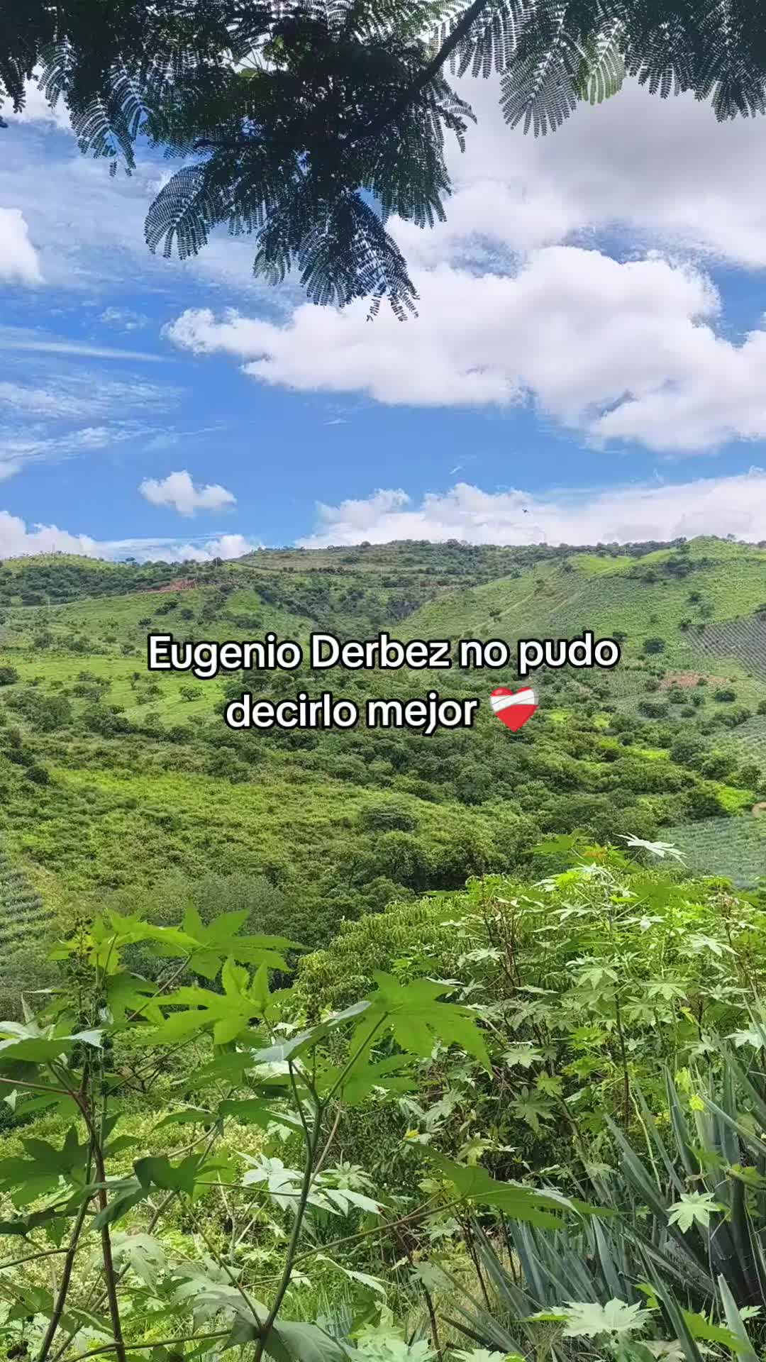 @Geovanna Camargo