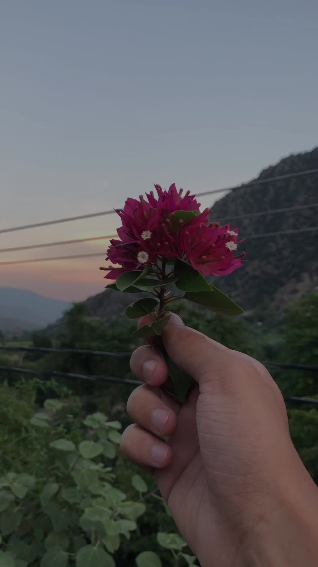@ƇʜᴏᴄᴏɭΛ†ƴ Ᏸᴏƴ