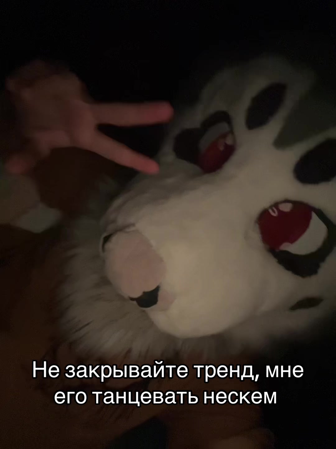 @Тгк: 🌱Бункер Дженнифер 🇺🇸