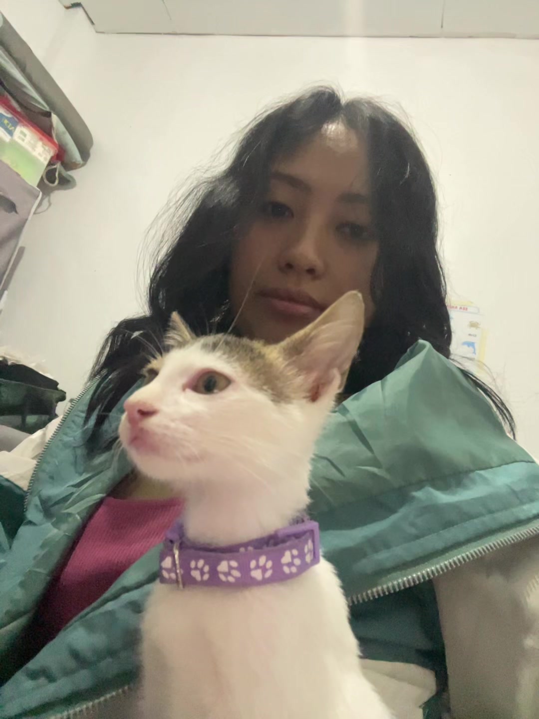 @missromanticamamacitapuzzycat