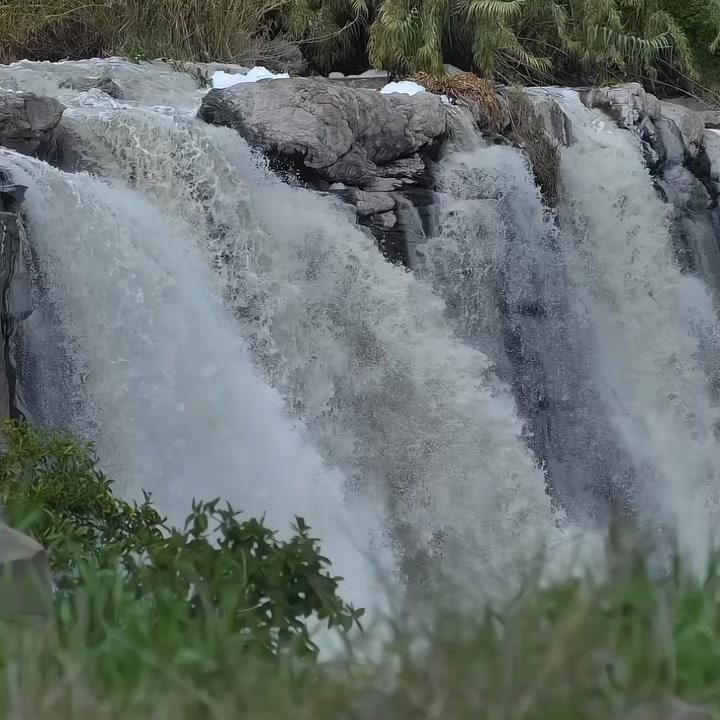 @B7F乛حسيب