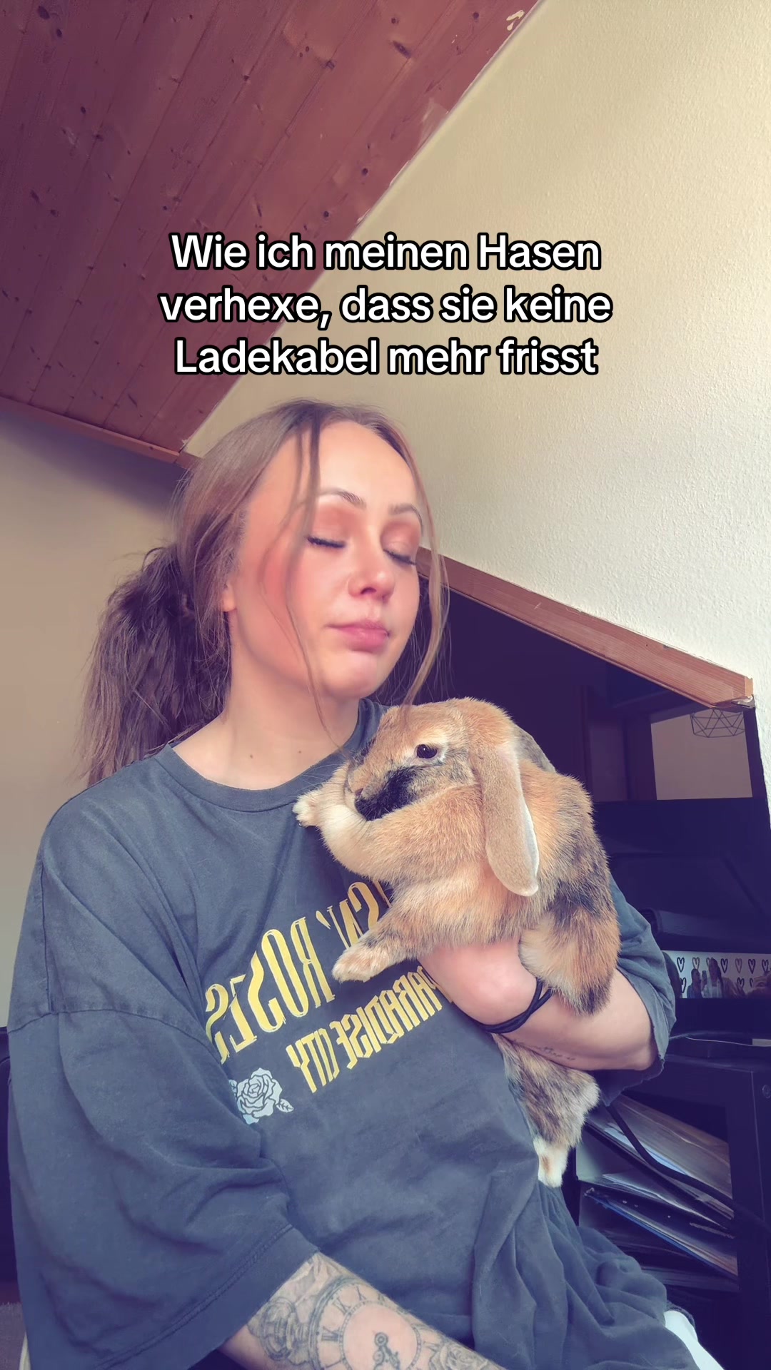 @sina.hbr
