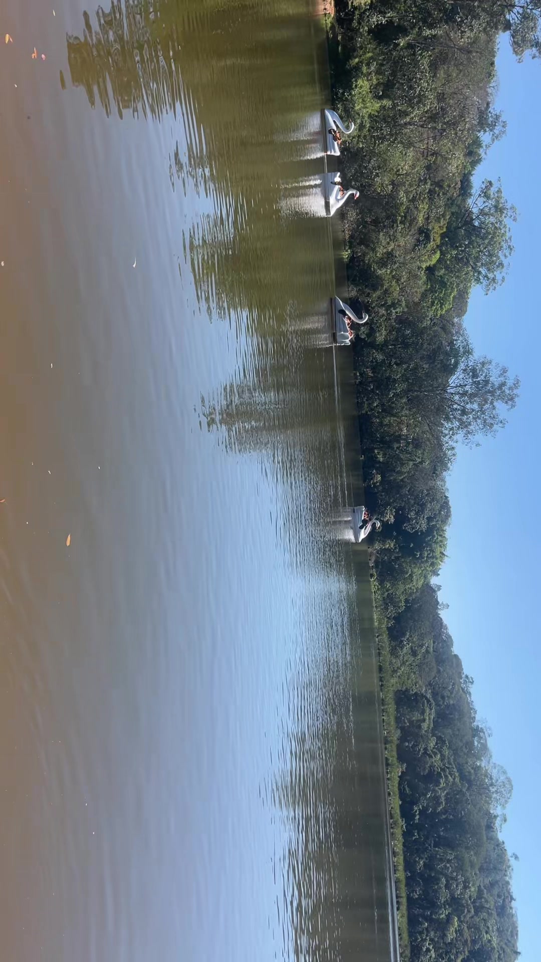 @rossesantos2