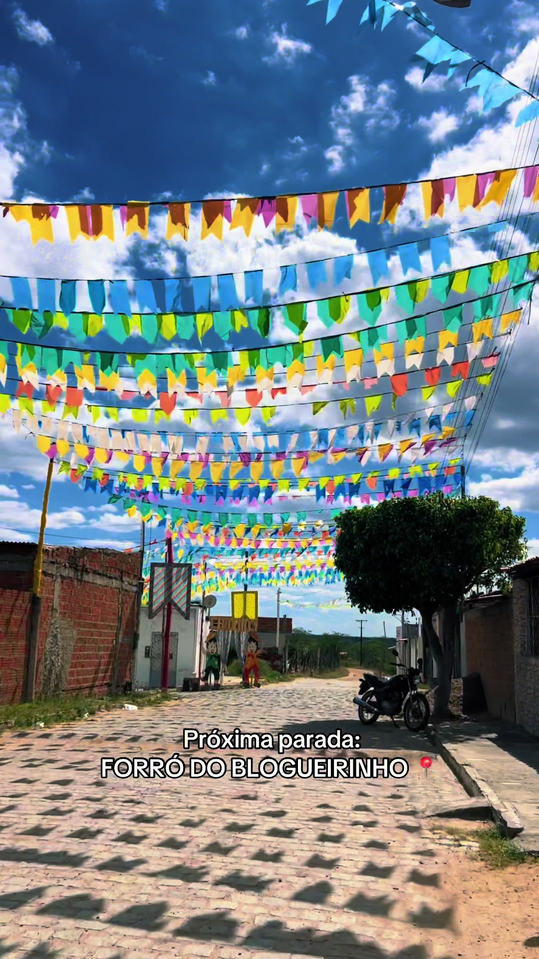 @Alicinha