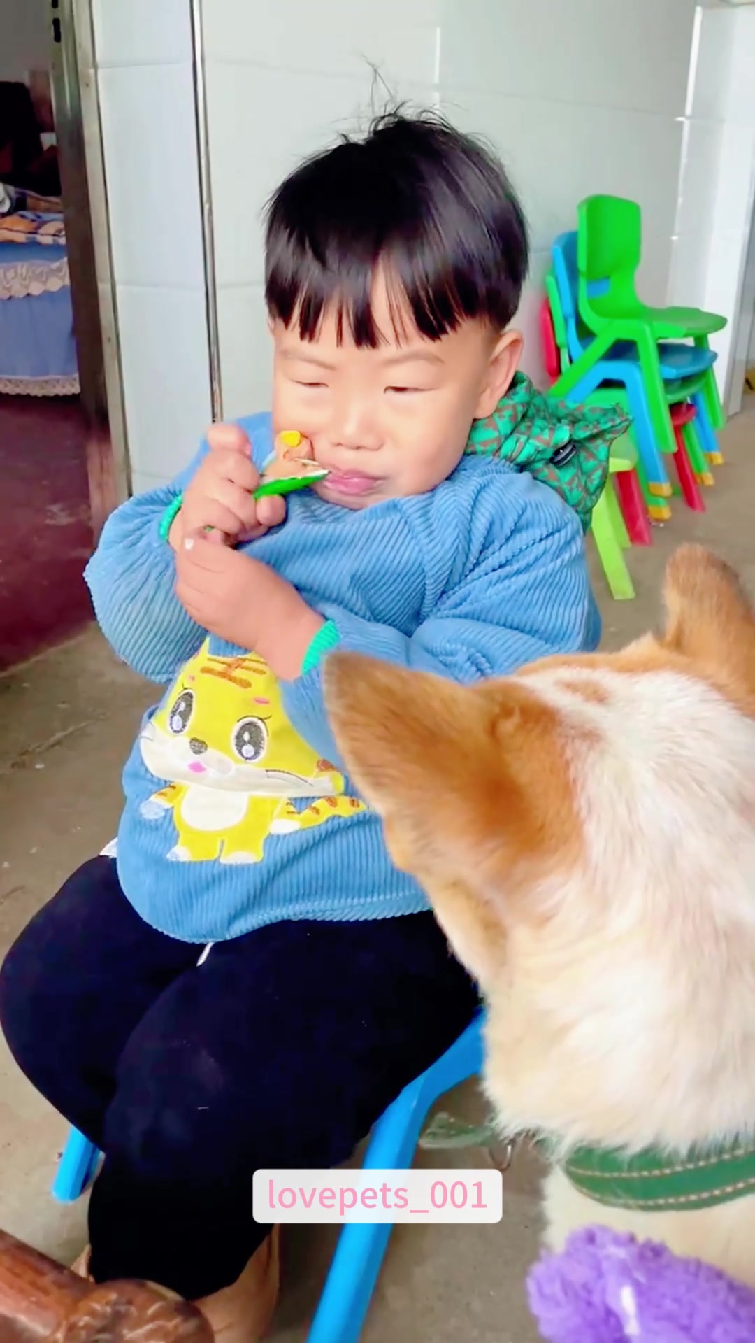 @lovepets_001