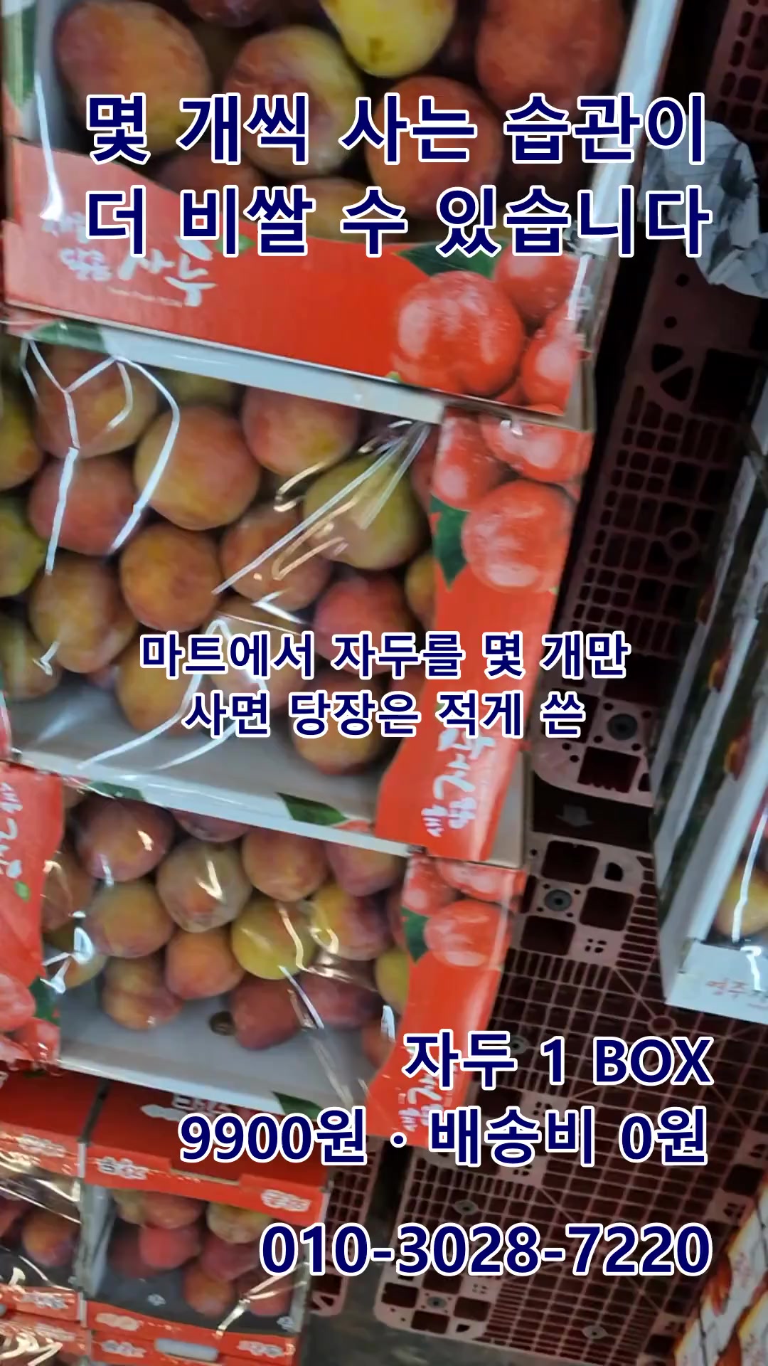 @새콤과일장터