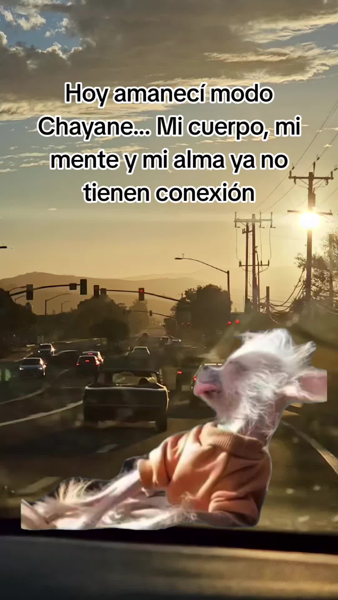 @🇲🇽🐦&zwj;⬛🪺VASQUEZ🚚🌪💎